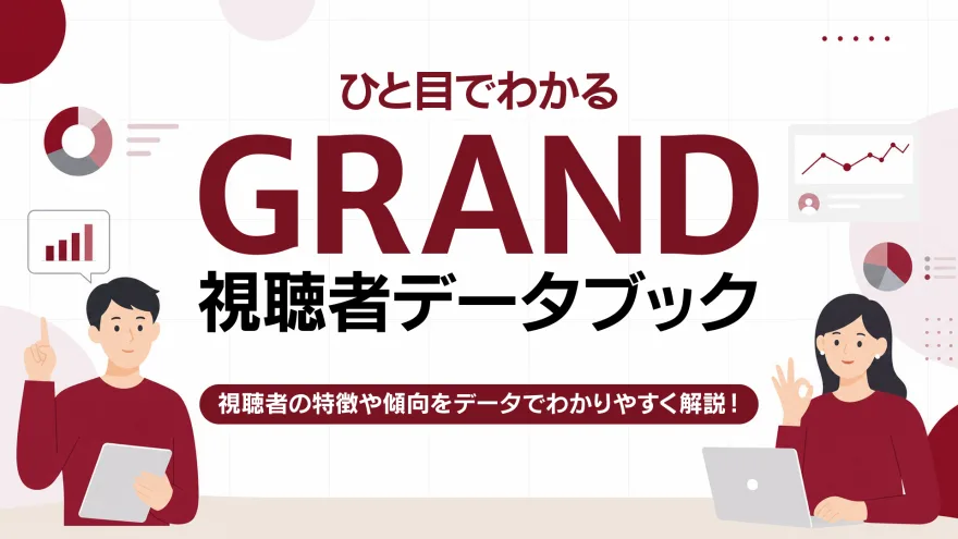 視聴者データブック（BtoC編） の表紙
